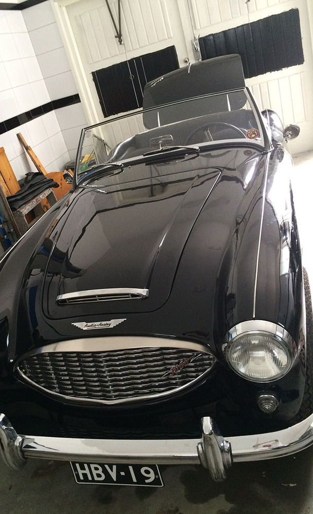 Austin-Healey