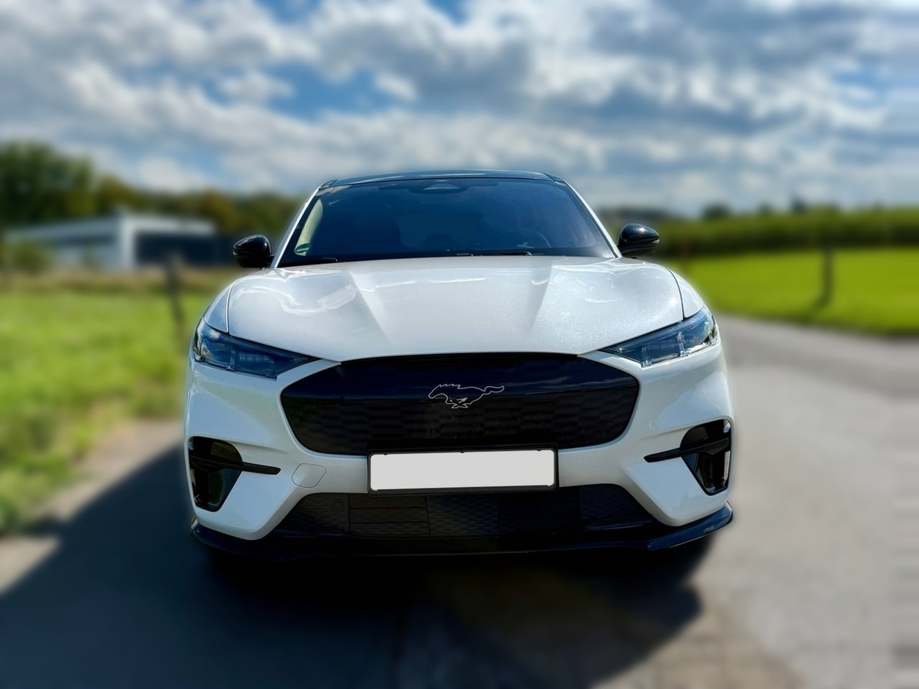Ford USA Mustang vaihtoauto