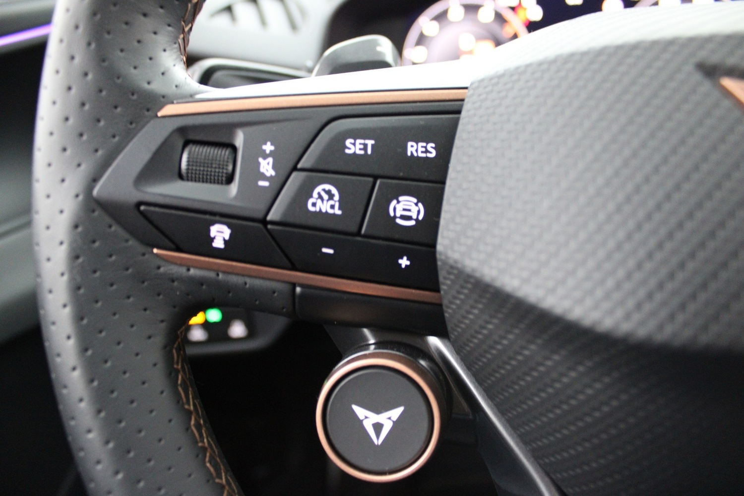 Cupra Terramar vaihtoauto
