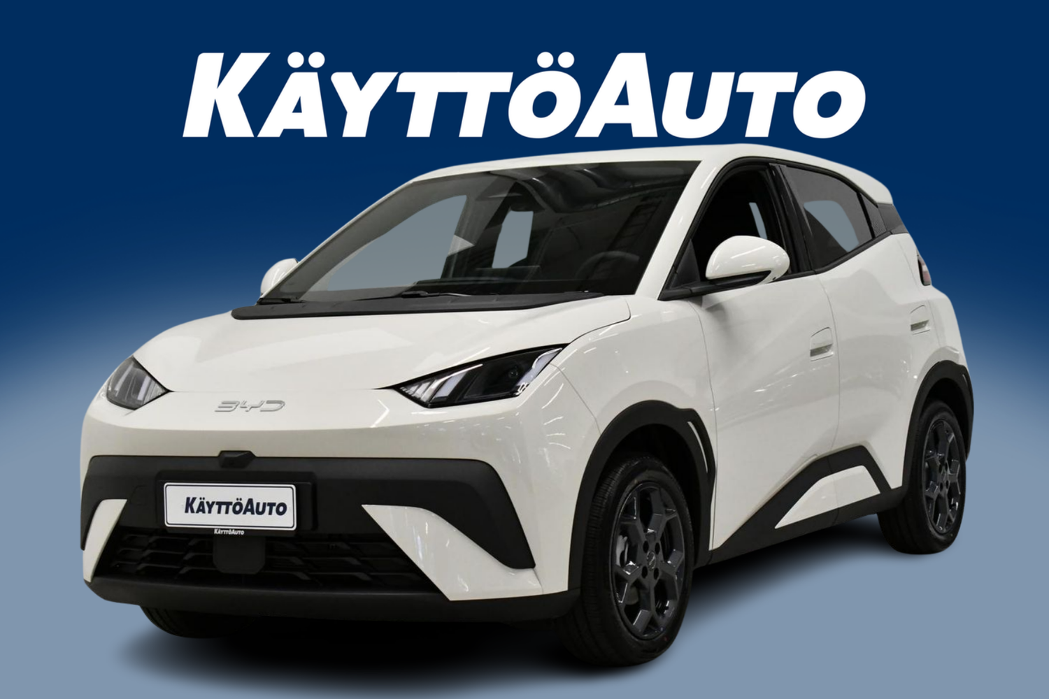 BYD Dolphin Surf vaihtoauto