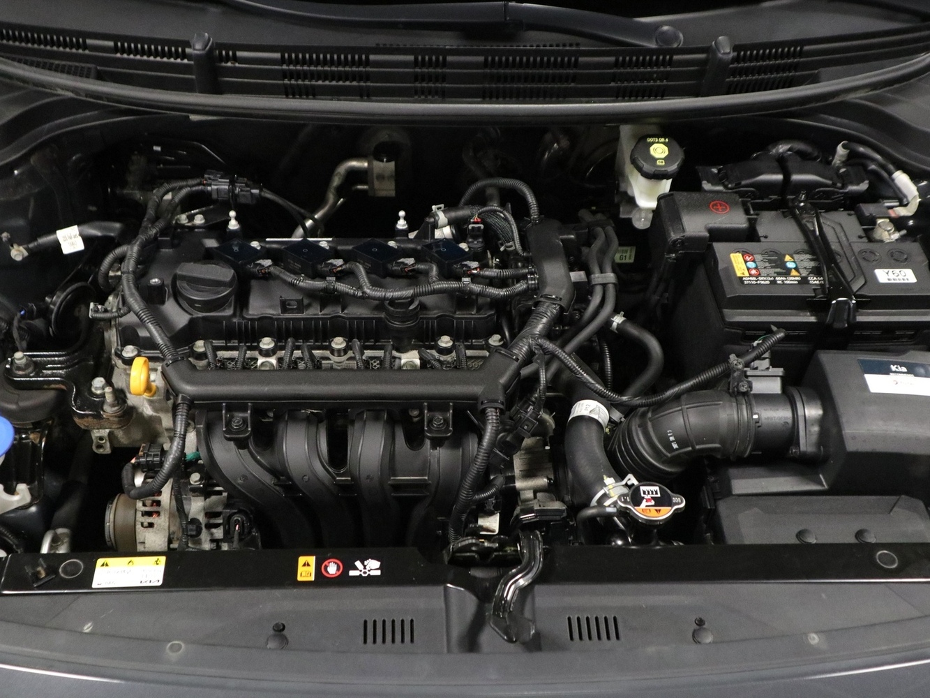Kia Rio vaihtoauto
