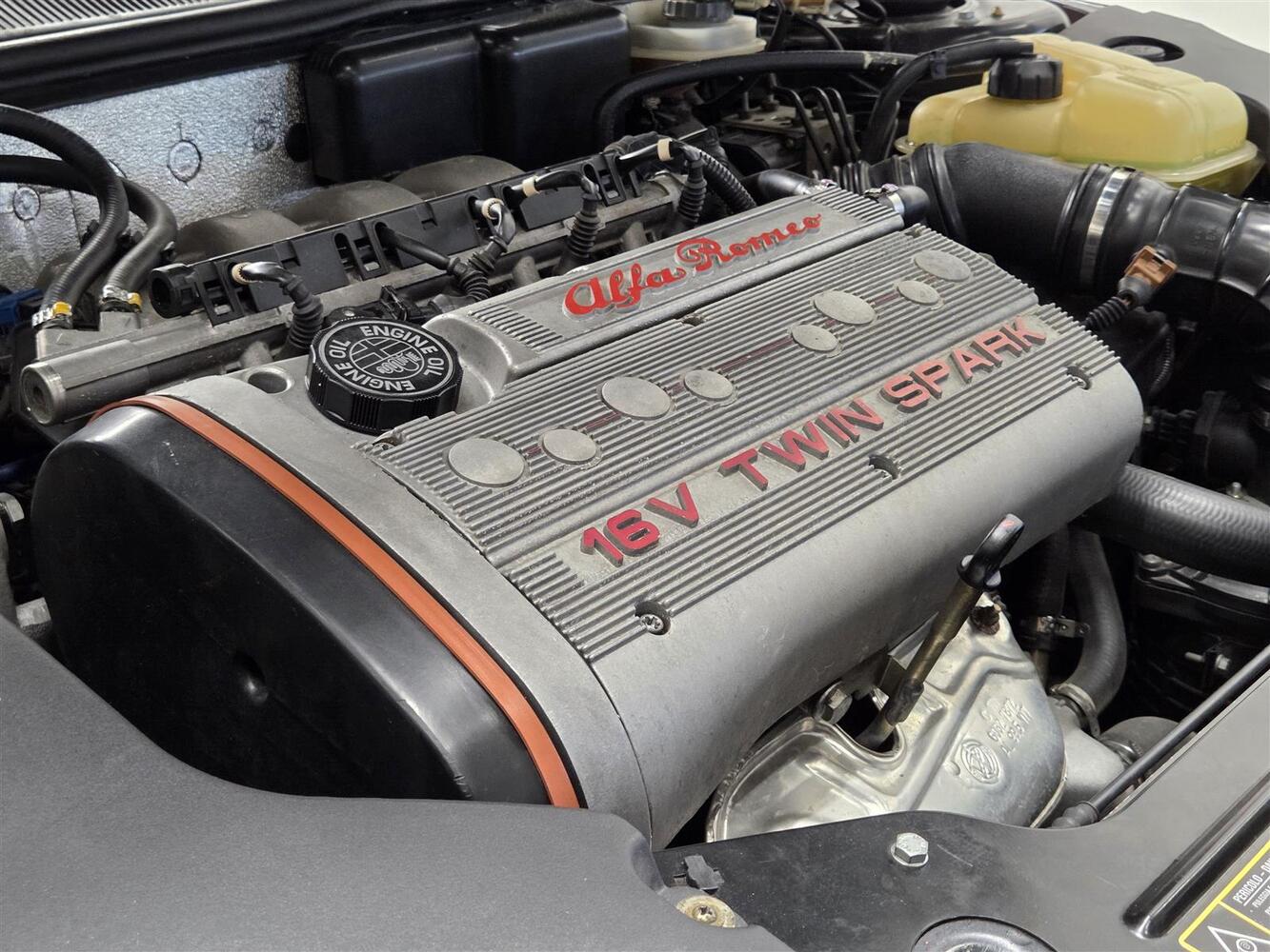 Alfa Romeo Spider vaihtoauto