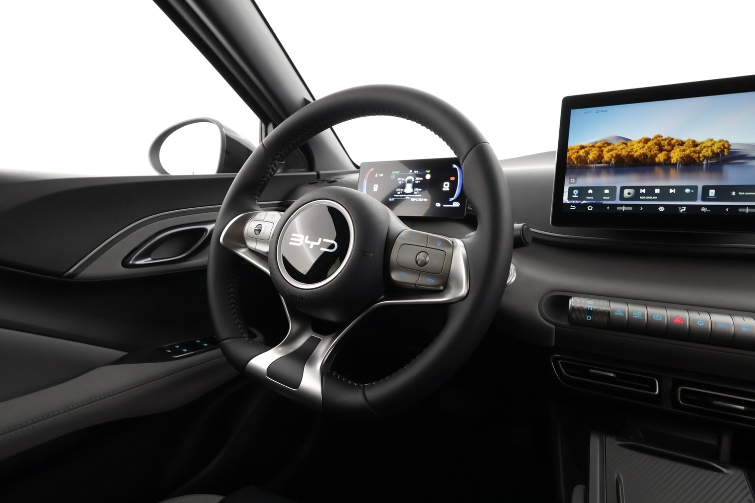 BYD Dolphin Surf vaihtoauto
