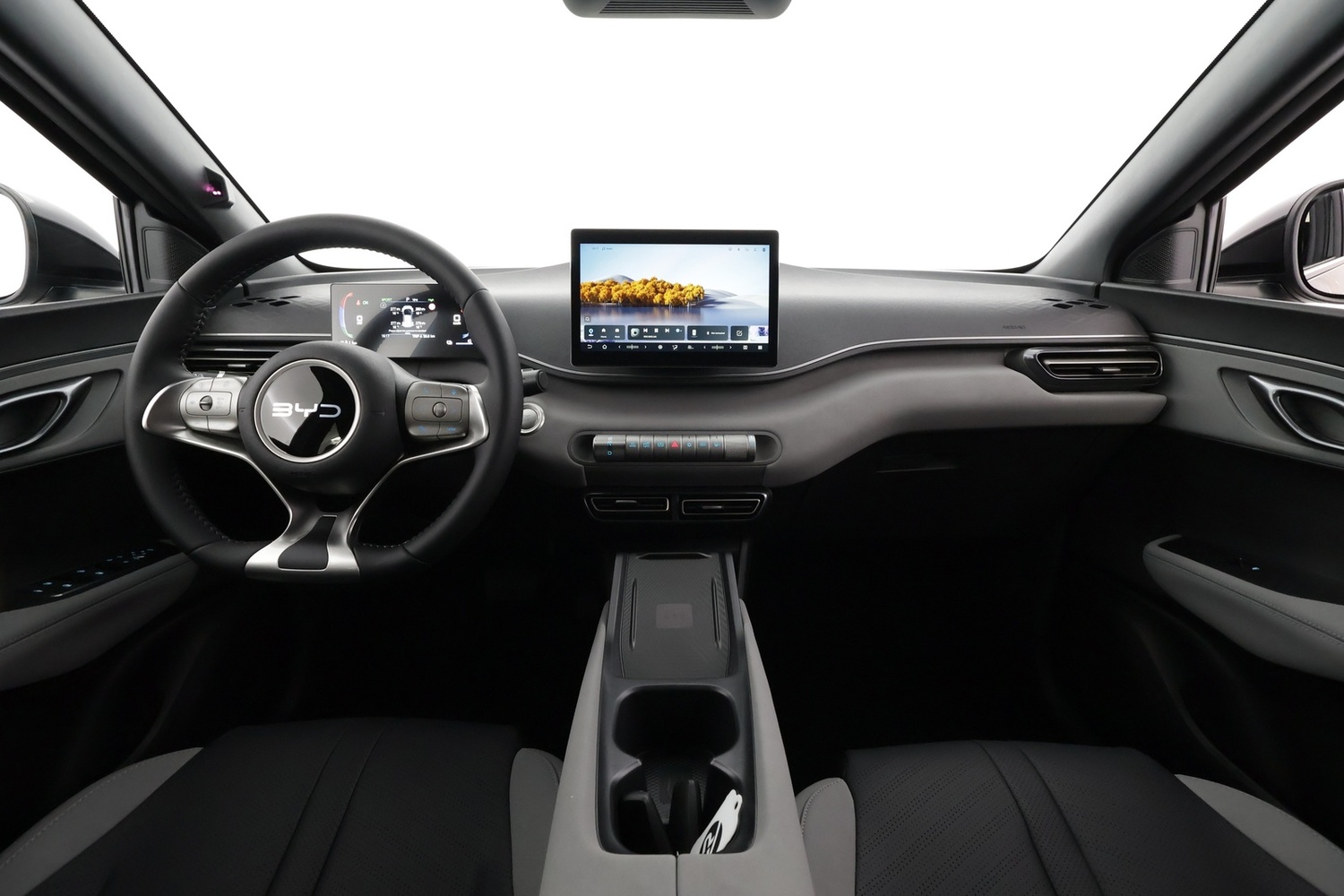 BYD Dolphin Surf vaihtoauto