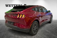 heti ajoon Ford USA Mustang