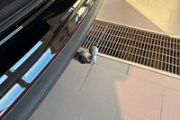 heti ajoon Volkswagen Tiguan