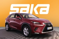 Lexus NX vaihtoauto