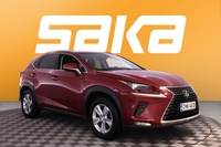 Lexus NX vaihtoauto