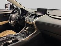 Lexus NX vaihtoauto
