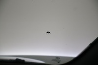 Alfa Romeo 159 vaihtoauto