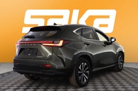 Lexus NX vaihtoauto