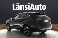 Lexus NX vaihtoauto