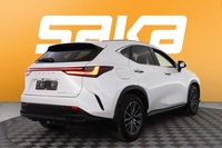 Lexus NX vaihtoauto