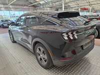 Ford USA Mustang vaihtoauto