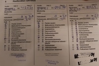 Opel Grandland X vaihtoauto