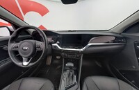 Kia Niro plug-in vaihtoauto