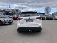 Lexus NX vaihtoauto