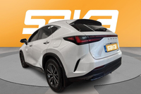 Lexus NX vaihtoauto
