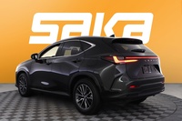 Lexus NX vaihtoauto