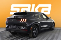 Ford USA Mustang vaihtoauto