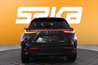 Lexus NX vaihtoauto