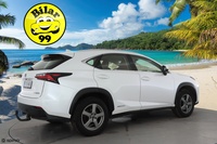 Lexus NX vaihtoauto