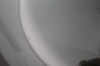 Subaru Forester vaihtoauto