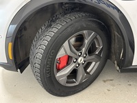 Ford USA Mustang vaihtoauto