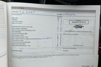 Skoda Rapid vaihtoauto