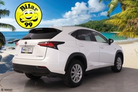Lexus NX vaihtoauto