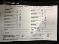 Mercedes-Benz CLS vaihtoauto