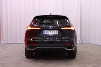 Lexus NX vaihtoauto