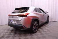 Lexus UX vaihtoauto