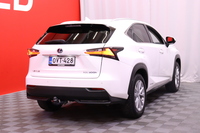 Lexus NX vaihtoauto