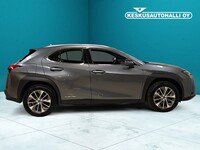 Lexus UX vaihtoauto