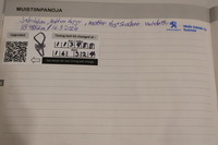 Peugeot 5008 vaihtoauto