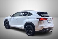 Lexus NX vaihtoauto