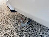 BMW iX vaihtoauto
