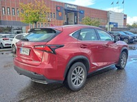 Lexus NX vaihtoauto
