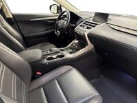 Lexus NX vaihtoauto