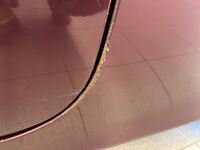 Volvo C70 vaihtoauto