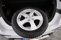 BYD Dolphin vaihtoauto