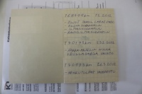 Volvo V50 vaihtoauto