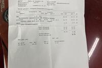 Fiat Punto vaihtoauto