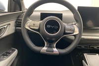 BYD Dolphin Surf vaihtoauto
