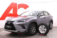 Lexus NX vaihtoauto