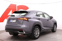 Lexus NX vaihtoauto