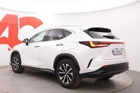Lexus NX vaihtoauto