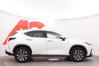 Lexus NX vaihtoauto