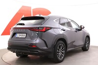 Lexus NX vaihtoauto